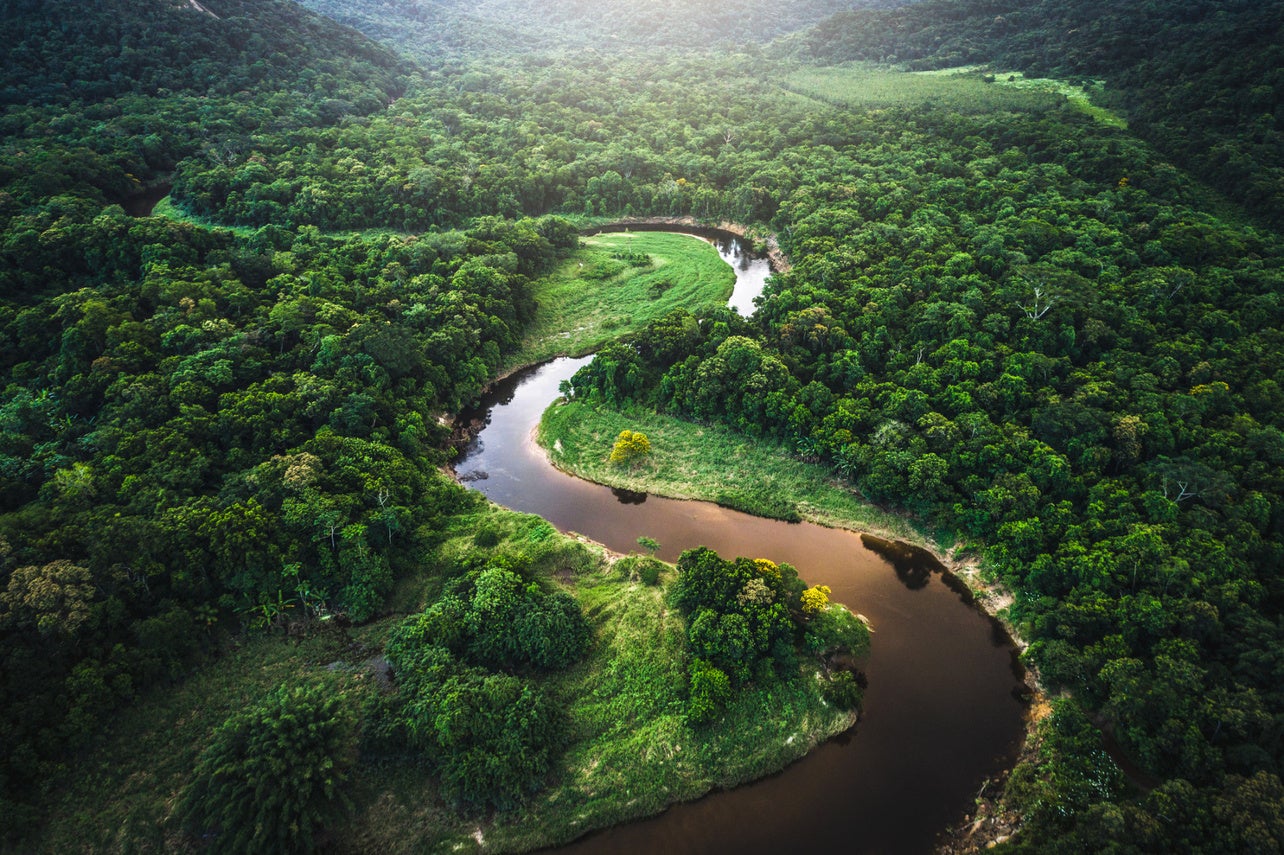 Above image of a river in the jungles of South America