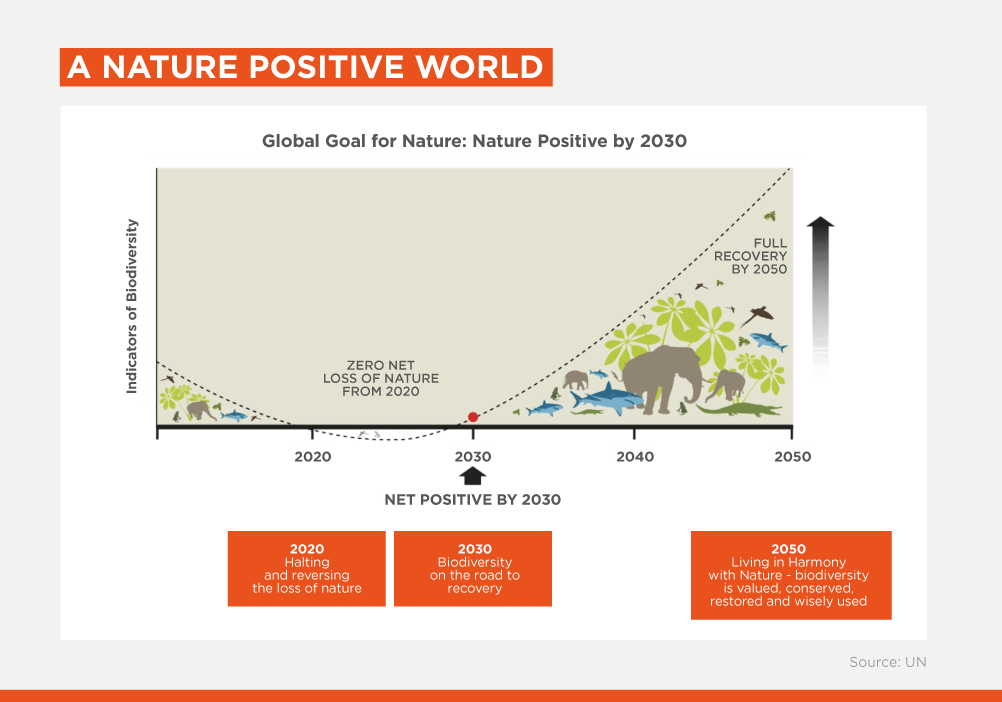 Graph showing UN Nature restoration goal for 2050