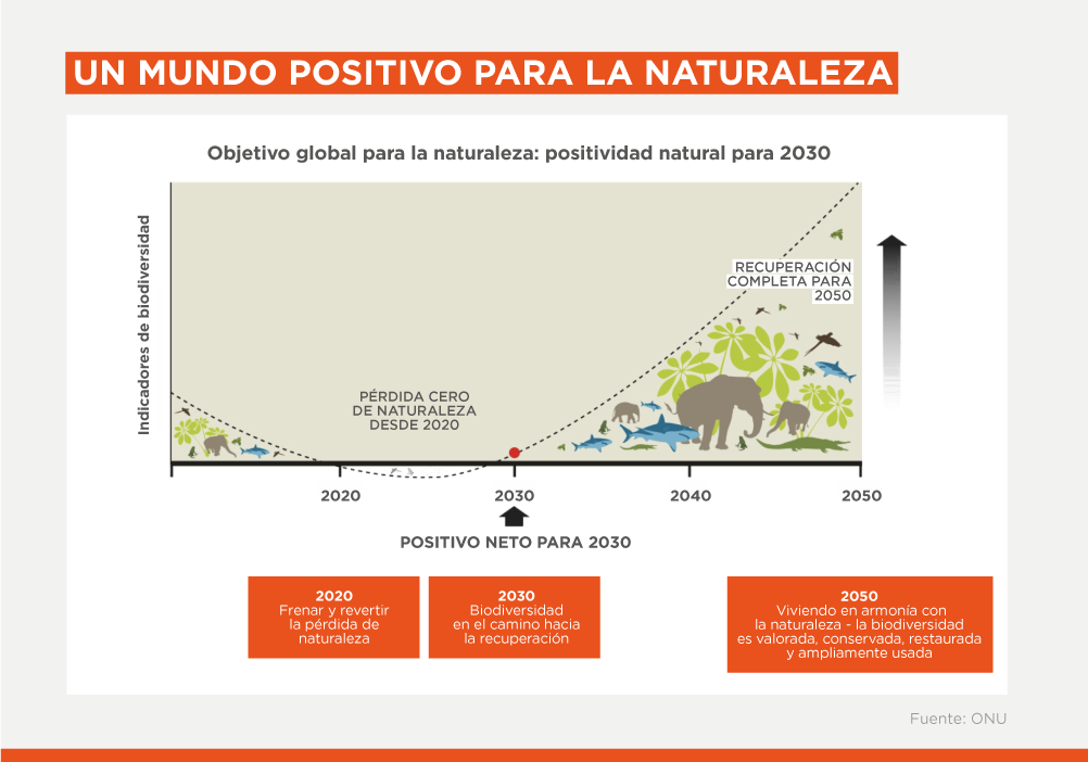 Infografía que muestra los objetivos de recuperación de la naturaleza de la ONU para 2050