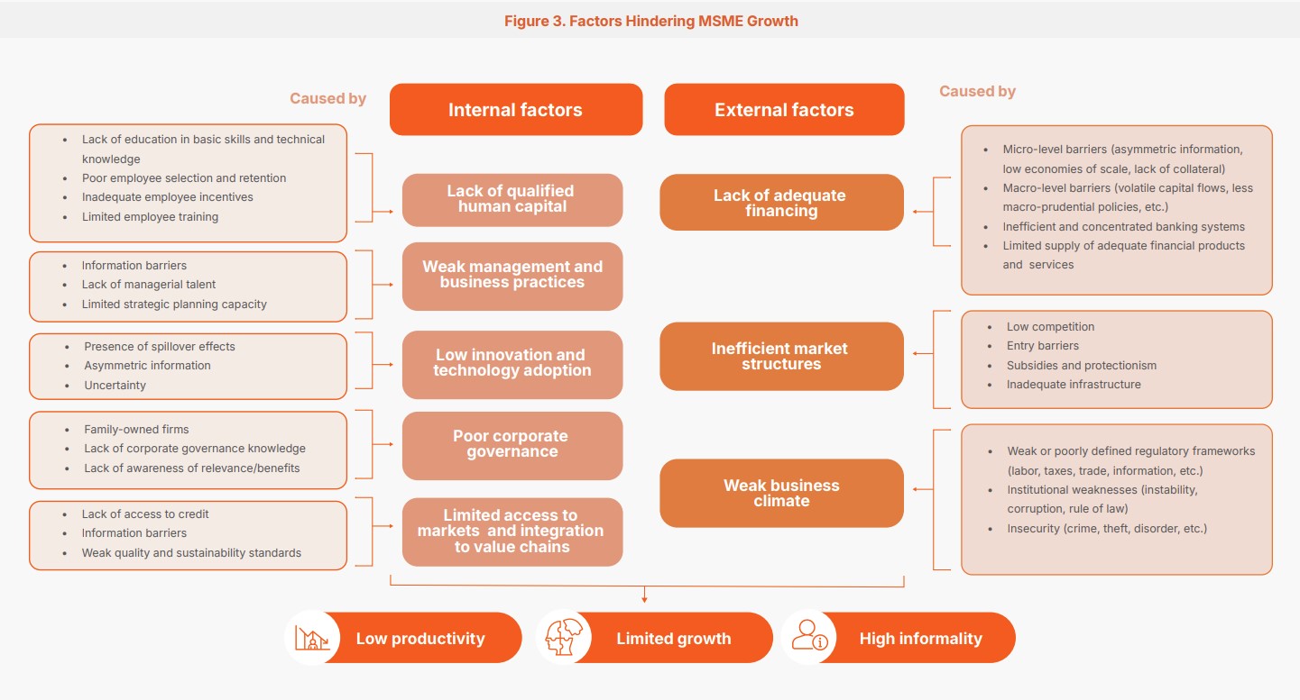 Factors Hindering MSME Growth