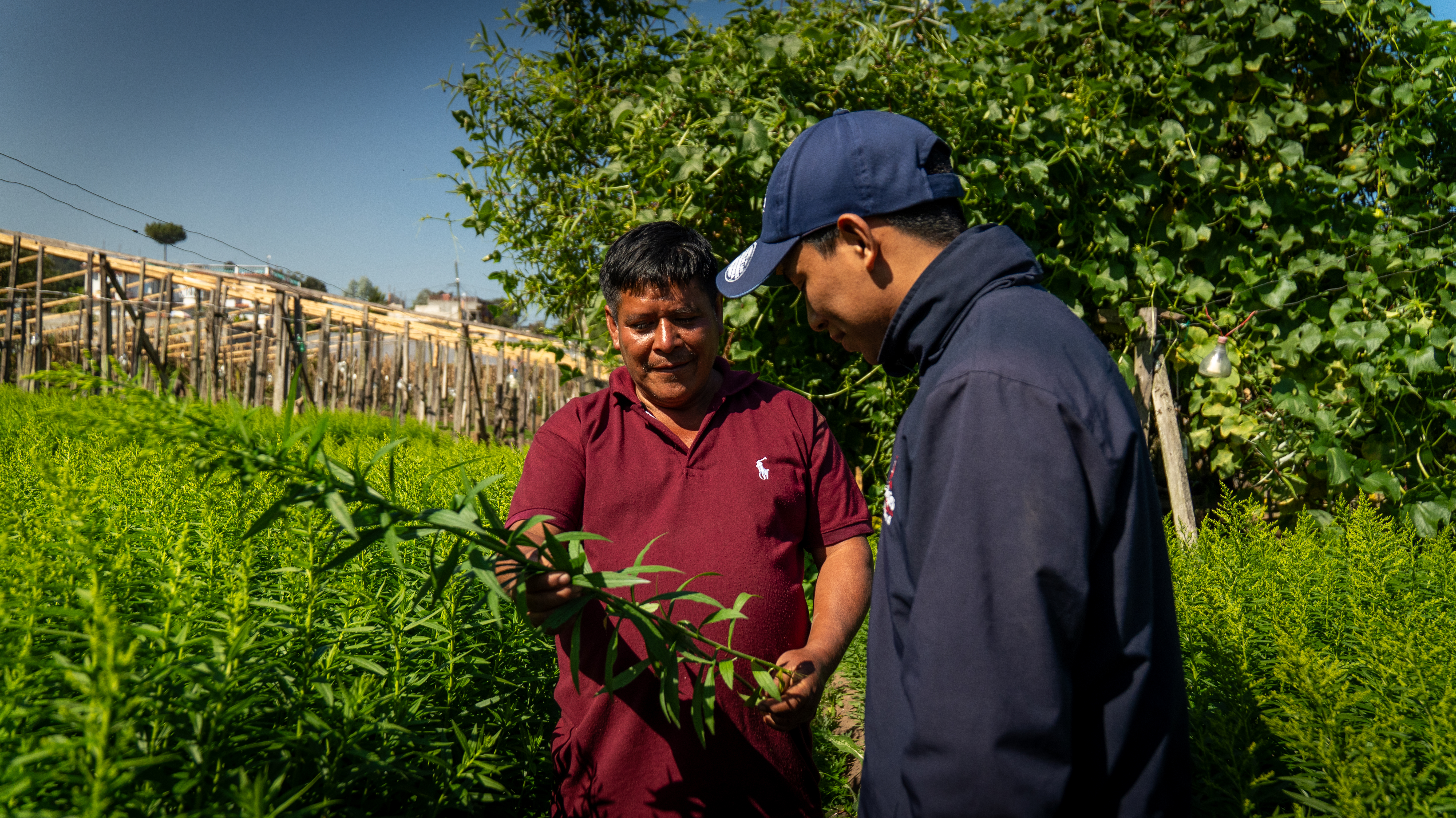 Gabriel Tepet Ajquejay, together with a Génesis field advisor.
