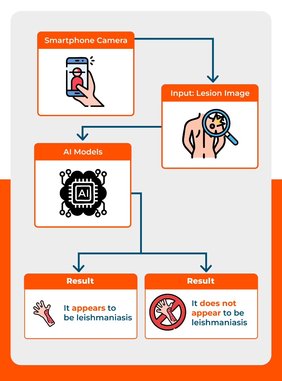 Graphic design showing how the app detects leishmaniasis