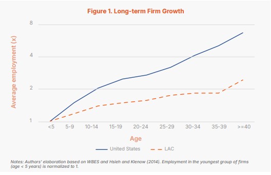 Figure on Long-term Firm Growth