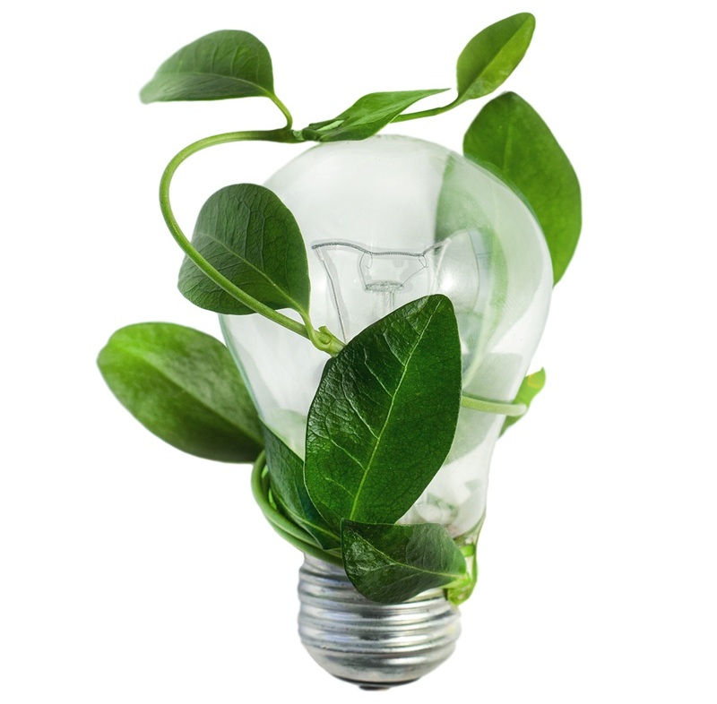 Illustration of the concept green idea