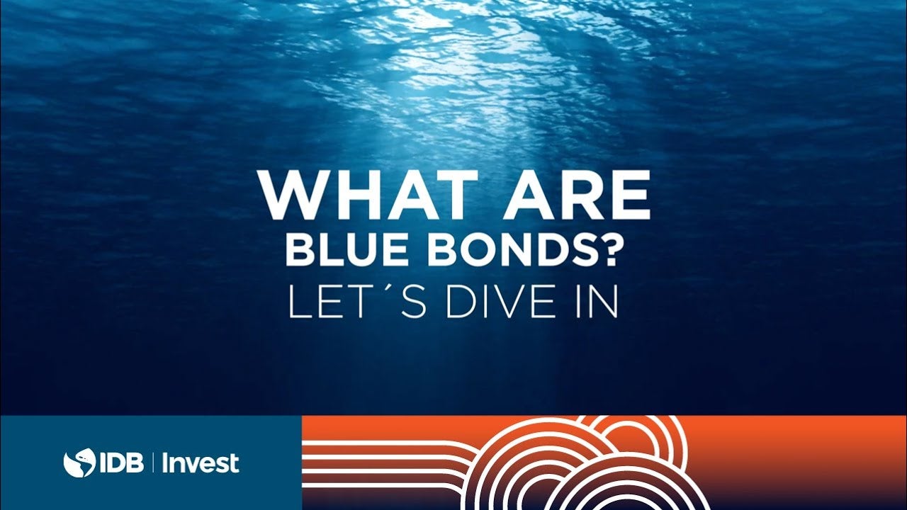 Learn more about blue bonds