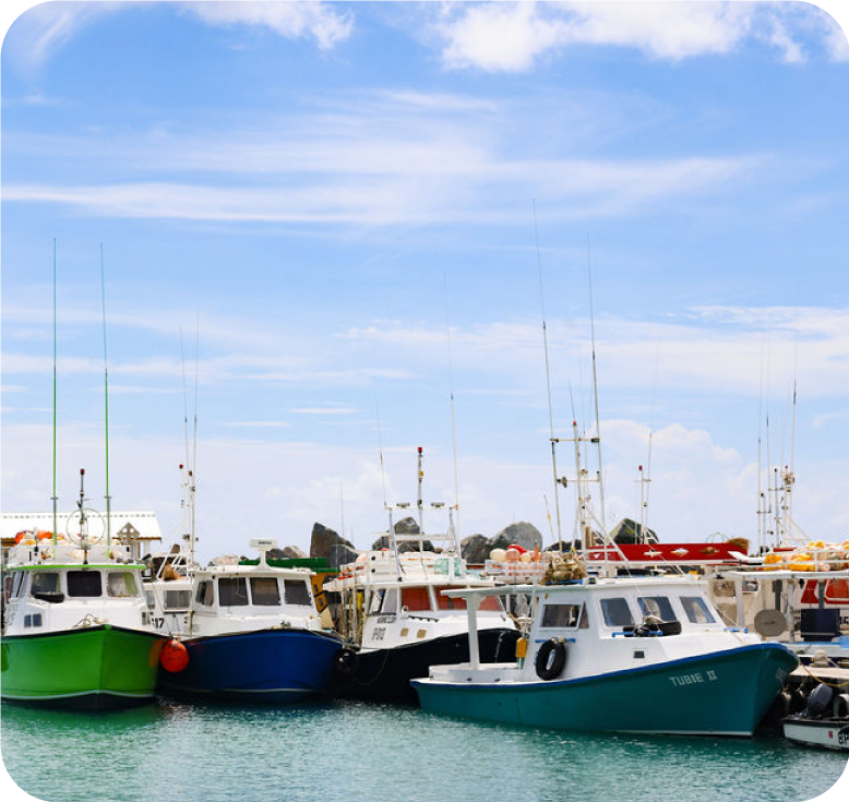 Image of a beautiful Barbados dock