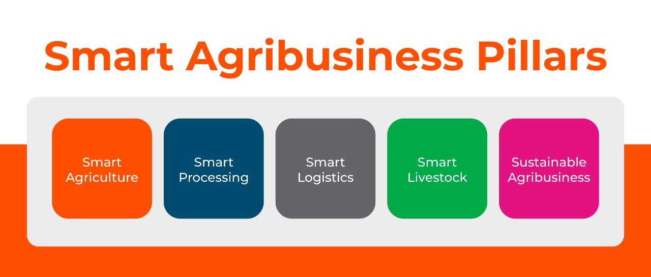 Smart Agribusiness Pillars
