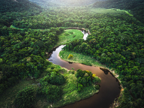 Image of a river crossing a forest