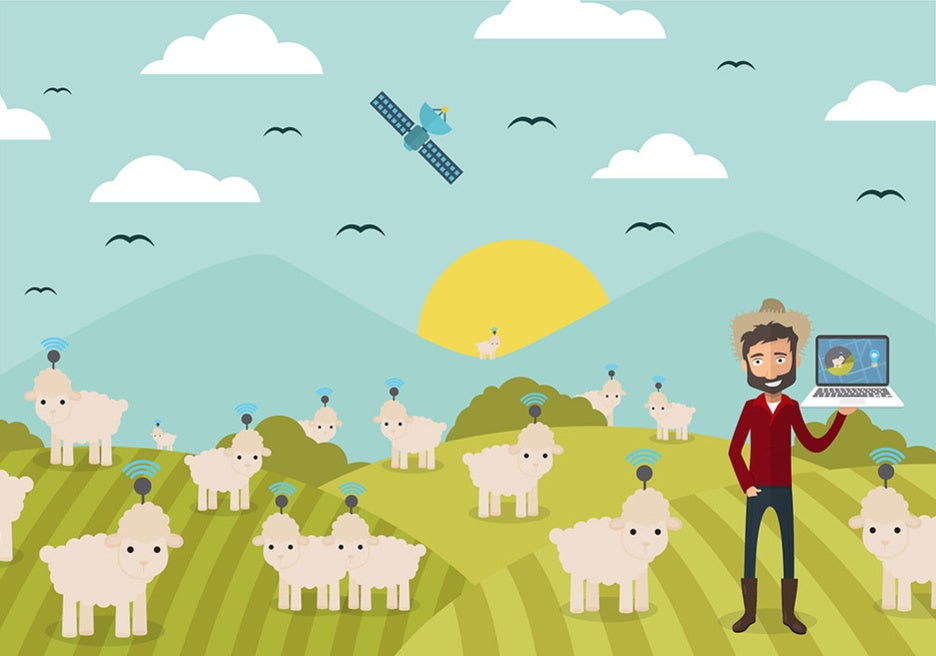 ¿Se vienen las ovejas “techies” en Patagonia?