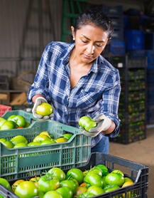 woman packing fruit idb invest stories