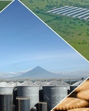 food security, agribusiness, manufacturing, Central America