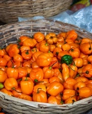 Habanero Peppers in a Basket