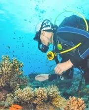 Scuba diver next to coral reefs