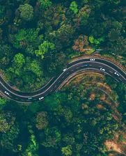 Aerial view of a road in the middle of a forest