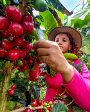 Woman farmer