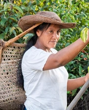 Image of a native woman working in an Amazonic field.