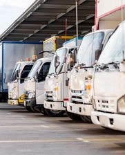 Image of a group of white distribution trucks