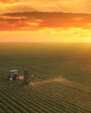 atome bid invest _0.png