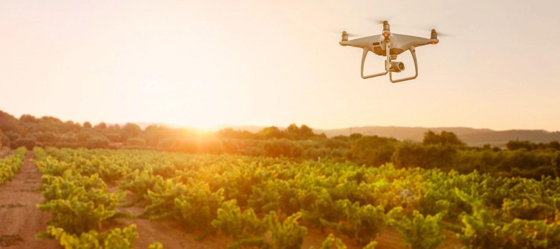 Remote Sensing And Artificial Intelligence Applications For Agribusiness