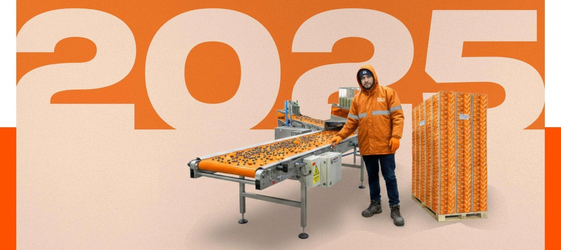 Cover image of IDB Invest's 2025 Annual Report