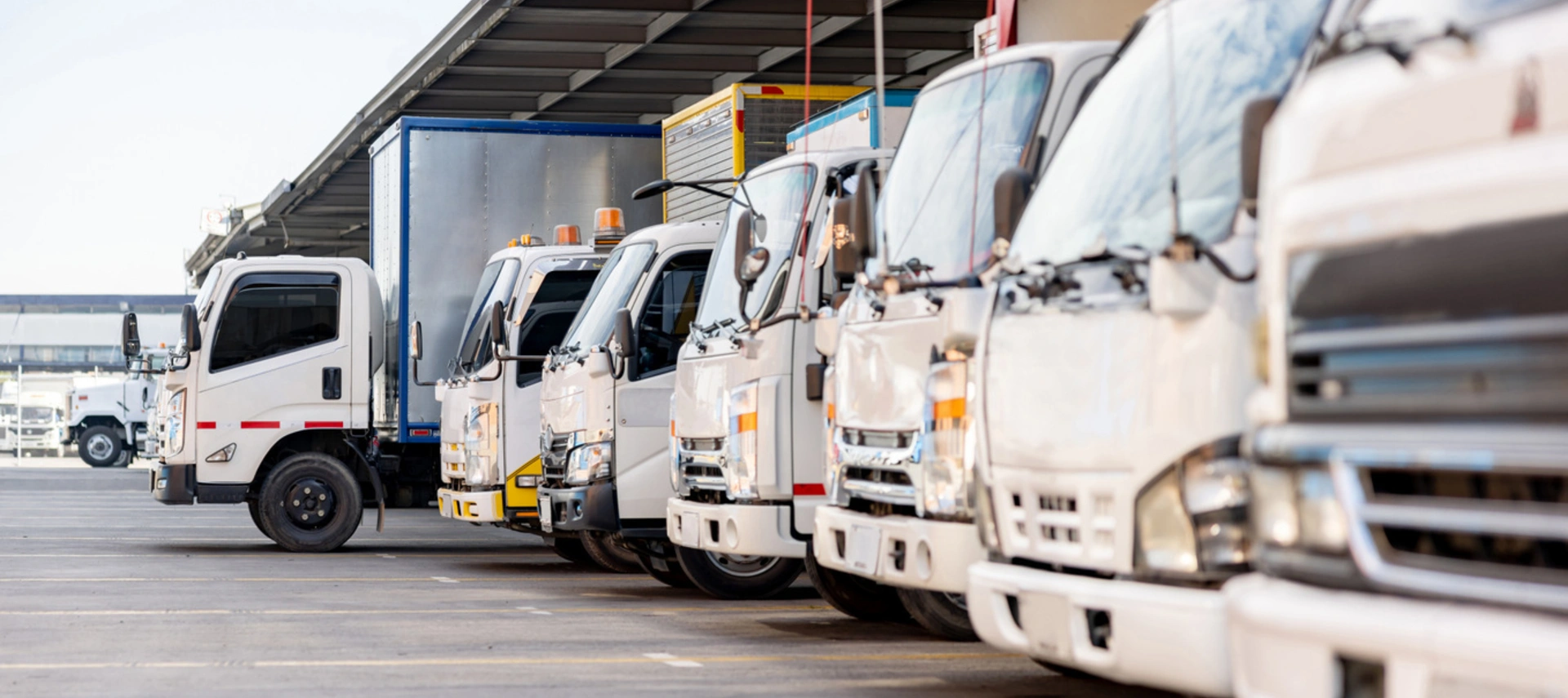 Image of a group of white distribution trucks