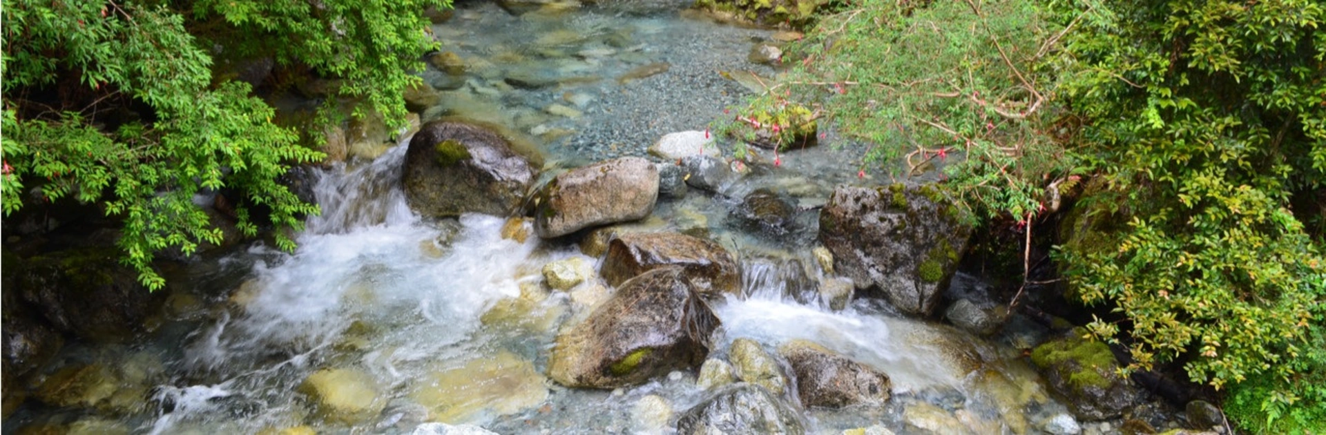 Image of a small clean river