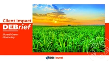 Client Impact DEBrief: Sicredi Green Financing