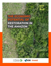 The Economic Potential of Restoration in the Amazon