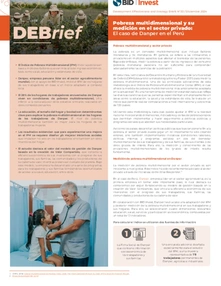(DEBrief) Multidimensional Poverty and its Measurement in the Private Sector: The Case of Danper in Peru