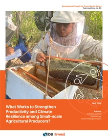 What Works to Strengthen Productivity and Climate Resilience among Small-scale Agricultural Producers?