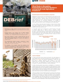 (DEBrief) What Works Best to Strengthen Beekeeper Productivity & Climate Resilience?