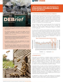 (DEBrief) ¿Qué funciona mejor para fortalecer la productividad y la resiliencia climática de los apicultores?