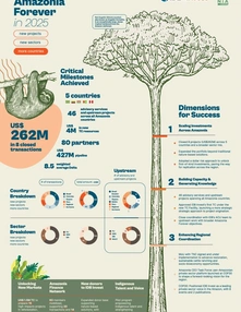 IDB Invest: Amazonia Forever in 2025