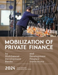 Mobilization of Private Finance by Multilateral Development Banks and Development Finance Institutions 2024
