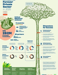 IDB Invest: Amazonia Forever in 2025