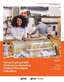 Formal Credit and SME Performance: Reviewing Evidence from Impact Evaluations