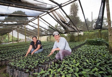 BID Invest agribusiness project in Ecuador. 