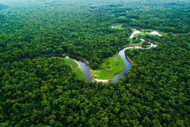 Air view of the Brazilian Amazon Forest