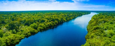 Image of a panoramic view of a river in a forest region