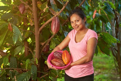 Una productora de cacao en su plantación. 