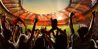 fans cheering in a packed stadium 