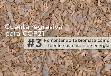 5 reasons to rethink biomass in Latin America