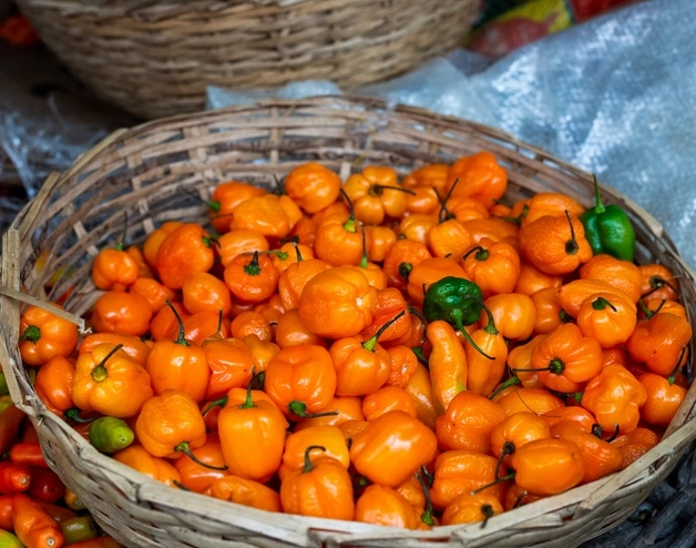 Habanero Peppers in a Basket