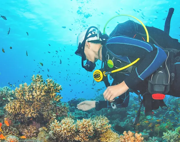 Scuba diver next to coral reefs