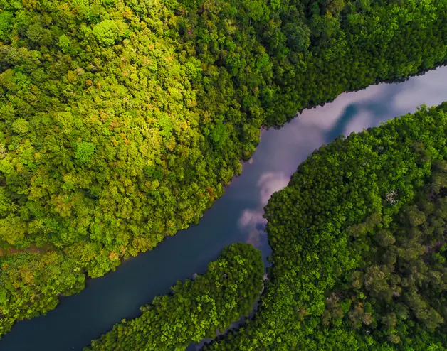 Above image of a river in the Amazon region