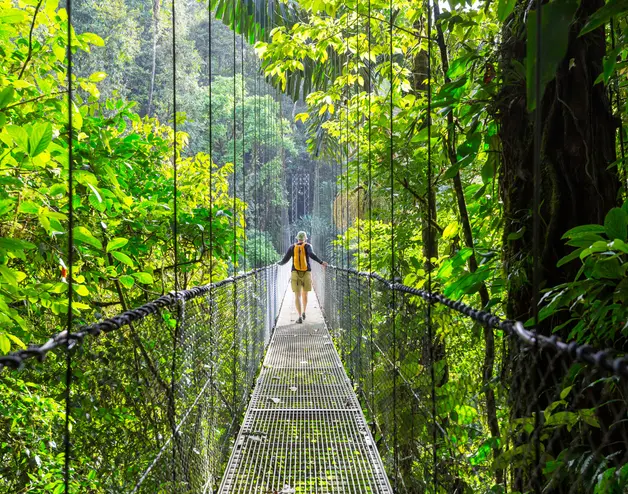 Image showing a wood bridge in the middle of a jungle in Costa Rica