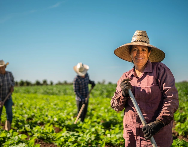 Una mujer en una granja de mini pimientos en México