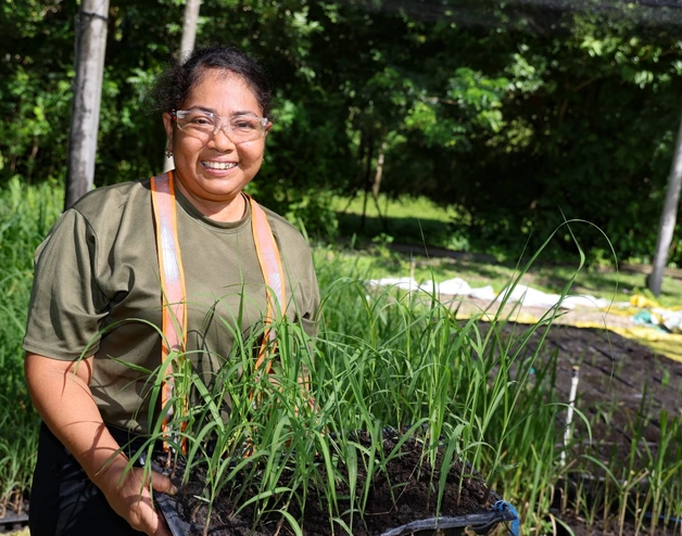 A woman stands outdoors holding a tray of young green seedlings, surrounded by rows of plants in a nursery or agricultural setting, with trees and sunlight in the background.