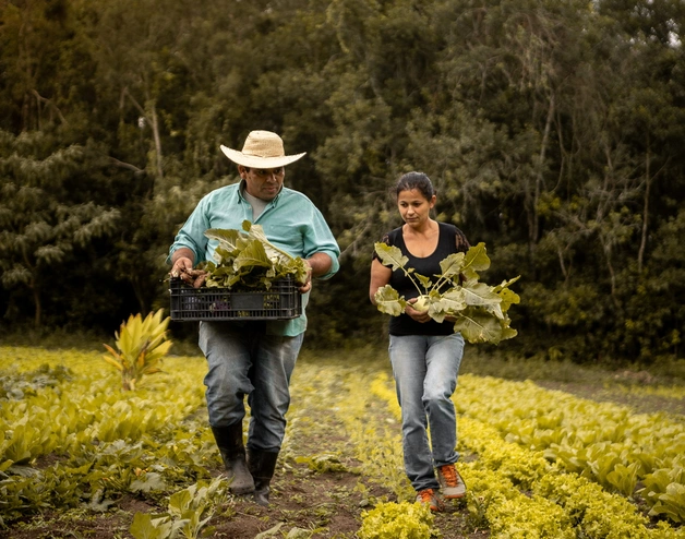 Brazil agriculture