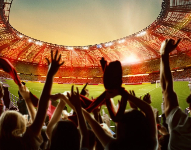 fans cheering in a packed stadium 